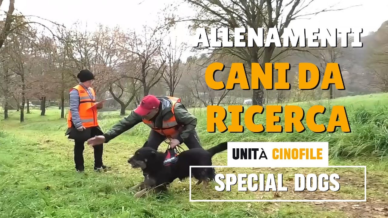 Come si diventa Unità cinofile da ricerca e soccorso