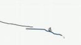 Snowcoach Line Rider Cheat