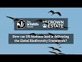 How can UK business lead in delivering the Global Biodiversity Framework?