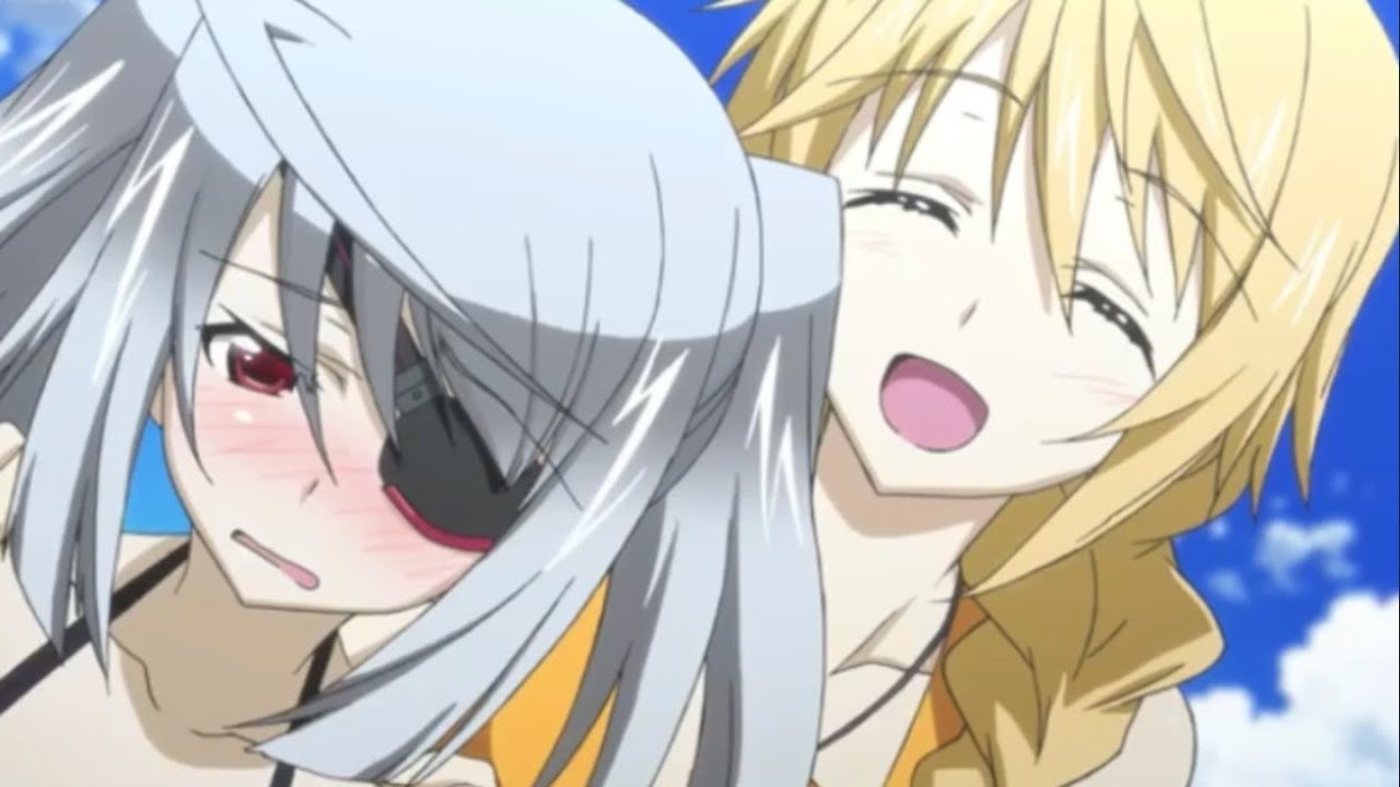 Review: Infinite Stratos  The Tiny World of an Anime Amateur