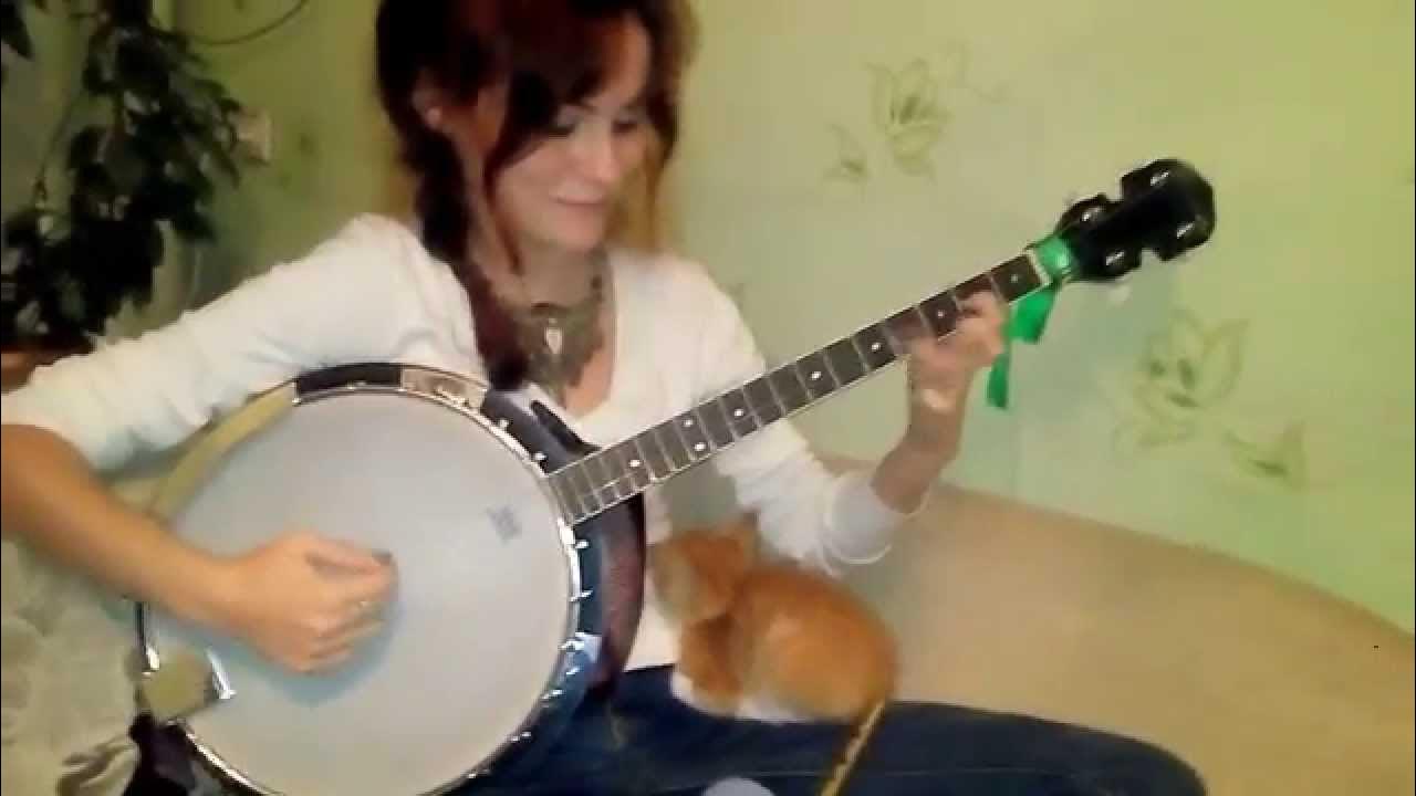 Banjo and cat YouTube