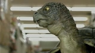 Comcast turtle couple waiting in a supermarket 2008 Commercial