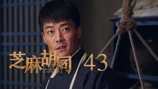 芝麻胡同 43 Memories Of Peking 43何冰王鷗劉蓓等主演