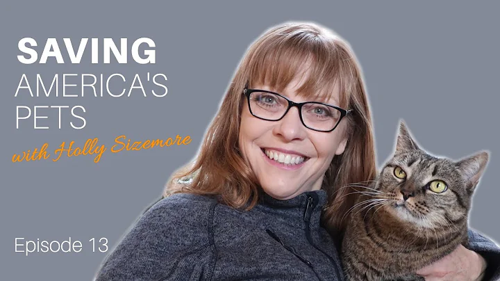 Lifesaving Bright Spots on Saving Americas Pets