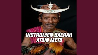 INSTRUMEN DAERAH