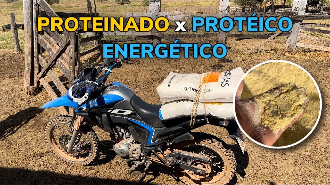 PROTEINADO X PROTÉICO ENERGÉTICO A DIFERENÇA DOS PRODUTOS