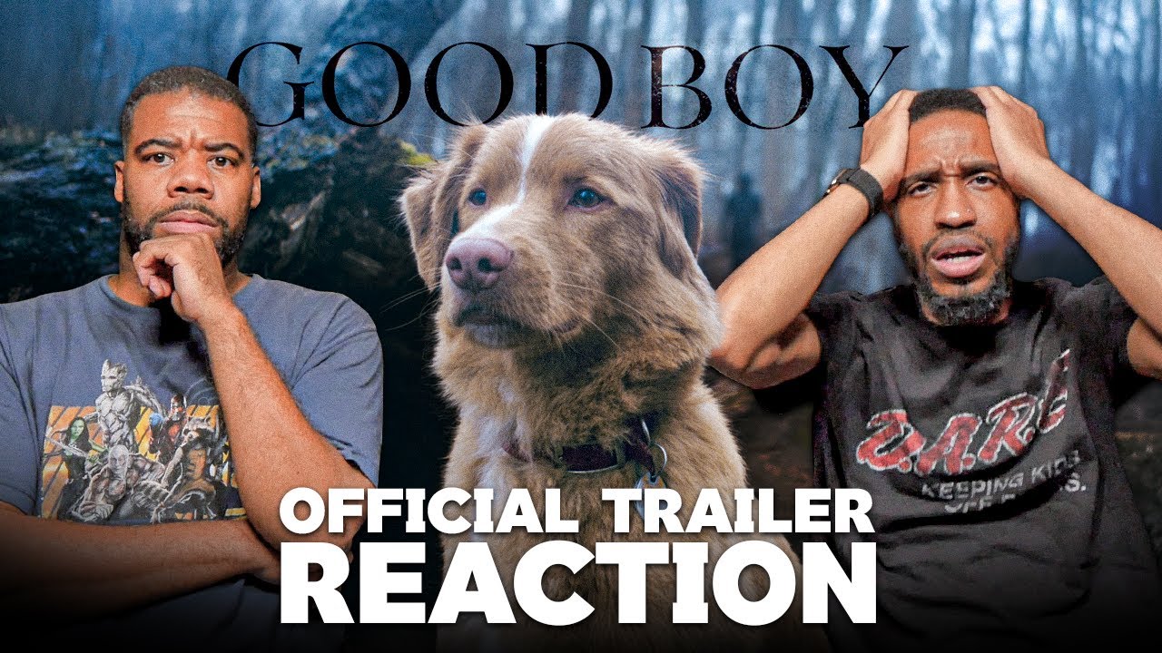 Good Boy - Official Trailer Reaction