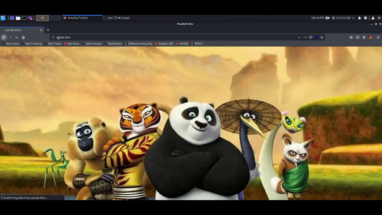 Panda - King of the Hill - TryHackMe