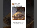 호랑이 귀 뒷면의 큰 비밀!