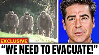Classified Documents Spill Horrifying Details About Bigfoot Sightings In National Parks