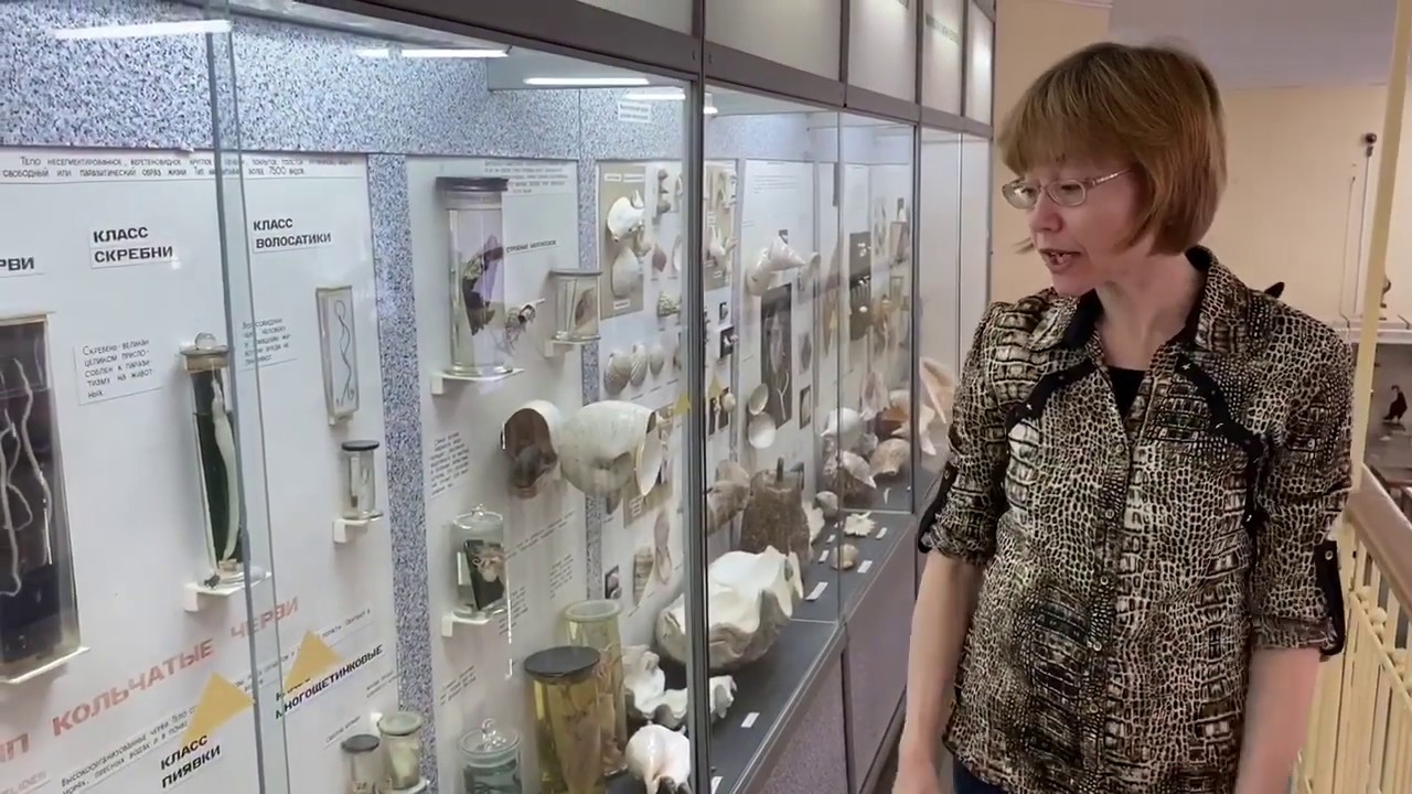 Лекция «Тайная жизнь Земли»