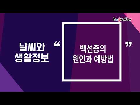 [날씨] 1월 16일_백선증의 원인과 예방법!