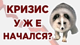 Падение рынков не остановить. Прогноз Рубини: худшее впереди / Новости экономики