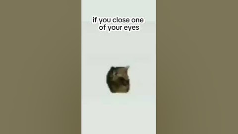 sorry about this 😢. #shorts #memes #cat