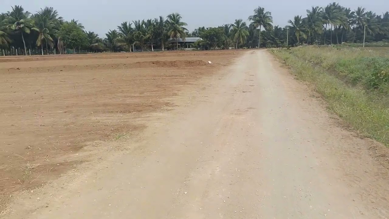 Pap மெயின் வாய்க்கால் அருகில்  2.50 ஏக்கர் விவசாய நிலம் விற்பனை பூளவாடி ஏரியா 