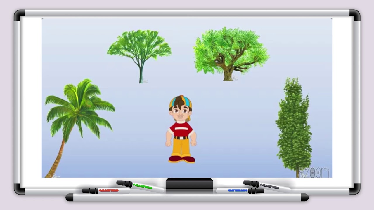 العلوم -  الصف الرابع  - الدرس الخامس