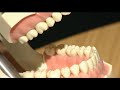 1 About Plaque- 02 How to clean Your Teeth - 03 Dental Health