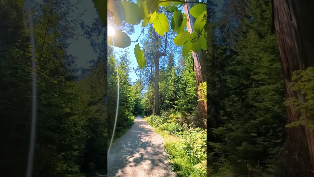 nature's strength 💪🌳 