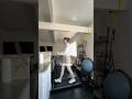 Mom Hack Alert: The Best Way to Stay Motivated at Home #wfh #walkingpad #workoutathome #momhacks