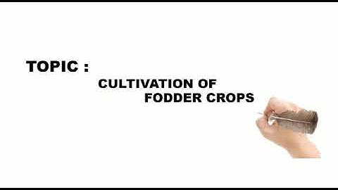 Cultivation of Fodder Crops by  Dr Iqra Mushtaq