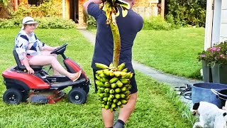 Why You Just Have to Grow Your Own Bananas