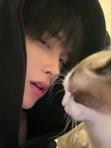 không ngờ có ngày ad ghen tỵ với một con mèo 🤭🥲 #dance #cat