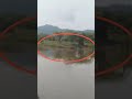 Huge Crocodile Spotted Huge Crocodile Spotted