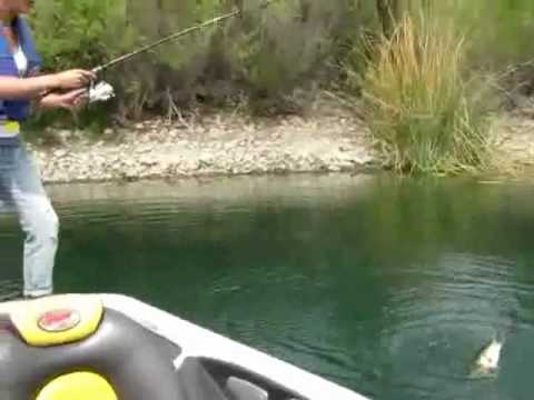 bass fishing-Lake Skinner,CA