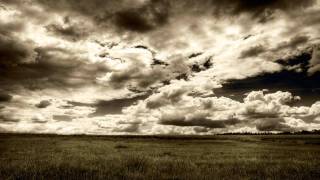 Hammock - An Empty Field