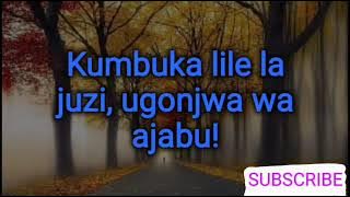 SIKU ZINAPITA WIKI ZINAENDA  LYRICS VIDEO  – MYC
