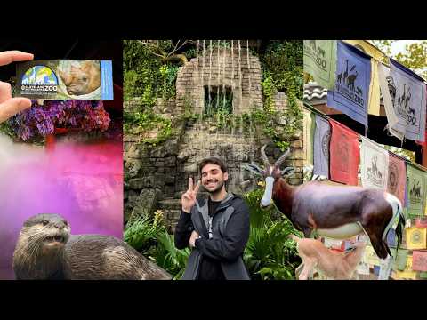 Baby Mania at the Cleveland Zoo & Last Visit to The Rainforest