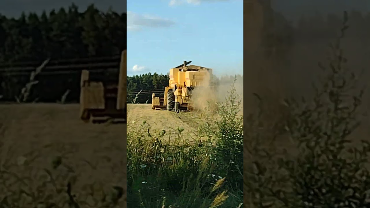 Combine harvester, Hanna, Poland 