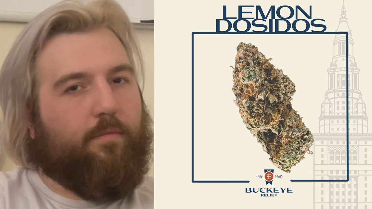 Could this be ONE of the BEST STRAINS in 2022?! Lemon Dosidos Review (Buckeye Relief)