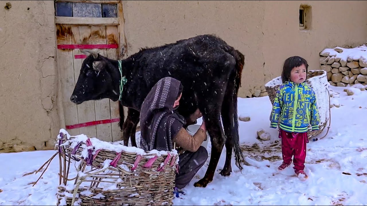 Village Lifestyle of Afghanistan _ Snow Day HOT Food