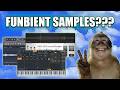 FUN & ORGANIC AMBIENT SAMPLES with stock plugins