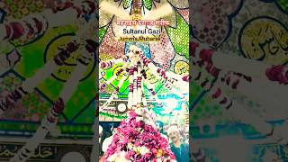 👑Gazi Sarkar 💞 ka salana Mela Bahraich Sharif 🕌 dargah #short #video #sultan