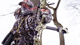 Monster Connecticut buck arrowed - runs into a tree