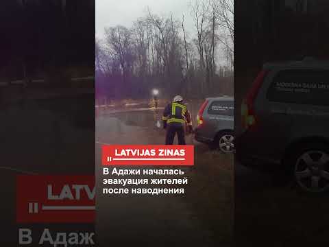 В Адажи началась