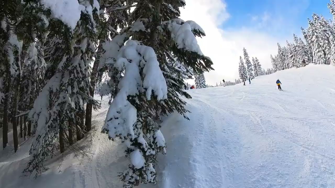 2024-03-02-Stevens Pass-Snowboarding Barrier Ridge to Lower Terminal x Brennan's Trail