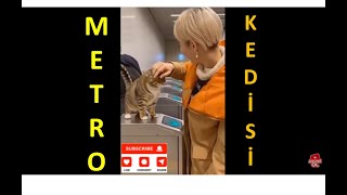 Metromiyav