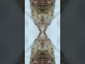 Cuarzo ferruginoso. Mural abracto virtual .Arte petreo. #geologia #music #youtubeshorts #gemstone