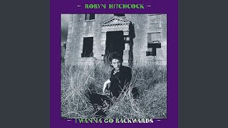 Video thumbnail of "Robyn Hitchcock - Birdshead"