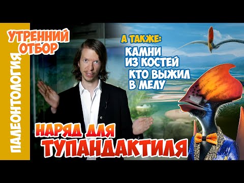 Наряд для тупандактиля. Ярослав Попов