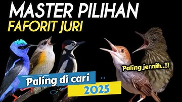DAHSYAT‼️RAJA MASTER FULL T€MB4K4N KASAR PALING D CARI