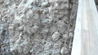 P1050331