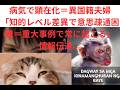 病気で顕在化=異国籍夫婦「知的レベル差異で意思疎通困難=重大事例で常に起こる」情報伝達。