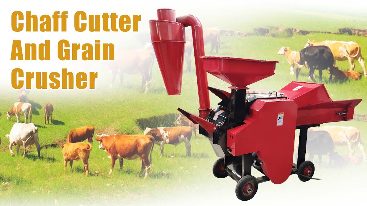 Amazing Chaff Cutter and Grain Crusher: Combined Grass Cutting & Grain Grinding Machine for Silage
