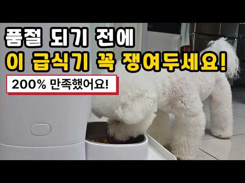 강아지 밥 챙길 때 꼭 피해야 할 실수 4가지, 이것만 기억하면 됩니다! (자동급식기 추천)