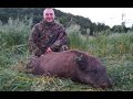 ОХОТА НА КАБАНА И КОСУЛЮ. В стране косуль Ч7. Wild boаr and roebuck hunting.