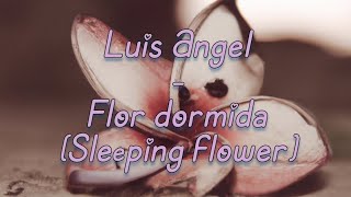 Luis Ángel - Flor dormida English lyrics